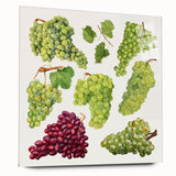 Large abstract wall art featuring assorted fruits in vibrant colors on acrylic glass, ideal for bedroom or dining room decor.