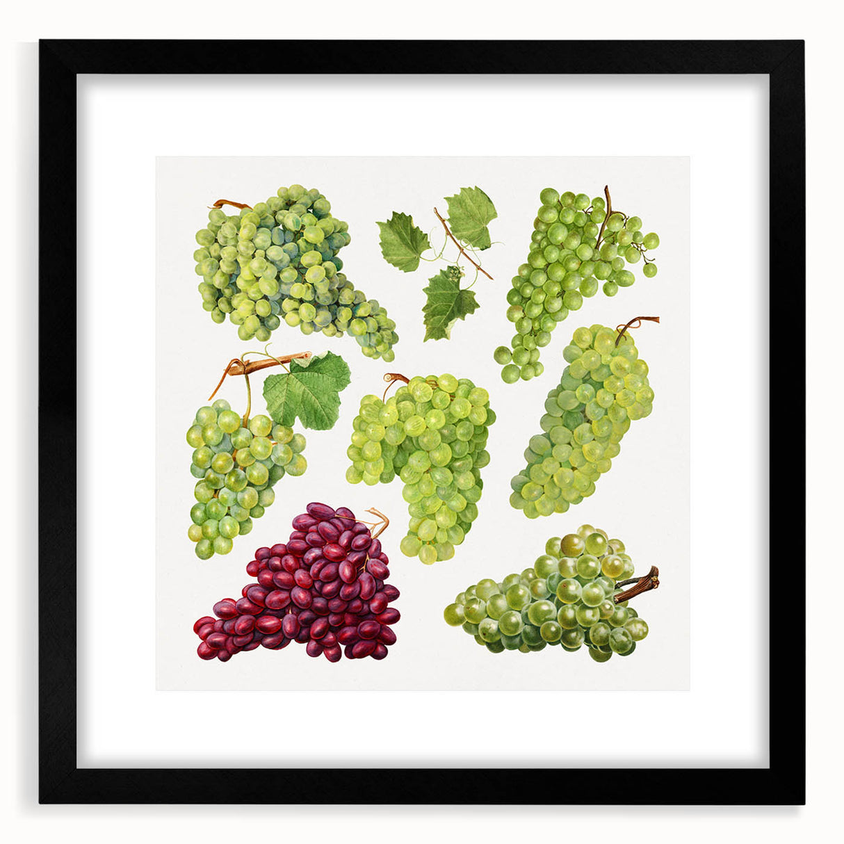 Extra large, textured abstract art print featuring vibrant fruit designs on a framed black mat, ideal for living room decor.