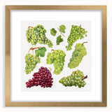 Extra large abstract art print featuring textured fruits in vibrant colors, framed in gold, ideal for living room decor.