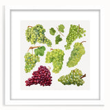 Abstract art print of assorted fruits in vibrant colors, framed with a white mat, suitable for dining room decor.