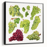 Black and white vintage poster art of assorted fruits on framed canvas, ideal for bedroom wall decor.