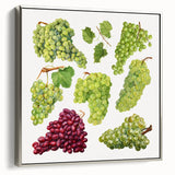 Landscape art painting of colorful fruits on a black background, framed in silver, ideal for kitchen wall decor.