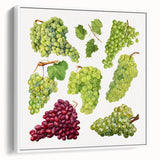 Vintage poster art of colorful fruits on a black background, framed canvas, ideal for living room decor.