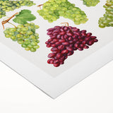 Art deco poster featuring an array of fruits in vibrant colors on rolled canvas, suitable for dining room walls.