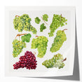 Rolled print of assorted fruits in vibrant colors, ideal for art wall dining room or classy bathroom decor.