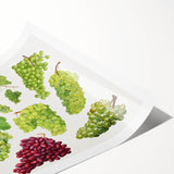 Extra large rolled print featuring line art flowers in black on a white background, ideal for large living room wall decor.