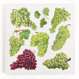 Black and white large canvas of assorted fruits, ideal for kitchen wall art.