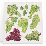 Black and white large art canvas of assorted fruits, suitable as kitchen wall art or for a bedroom.