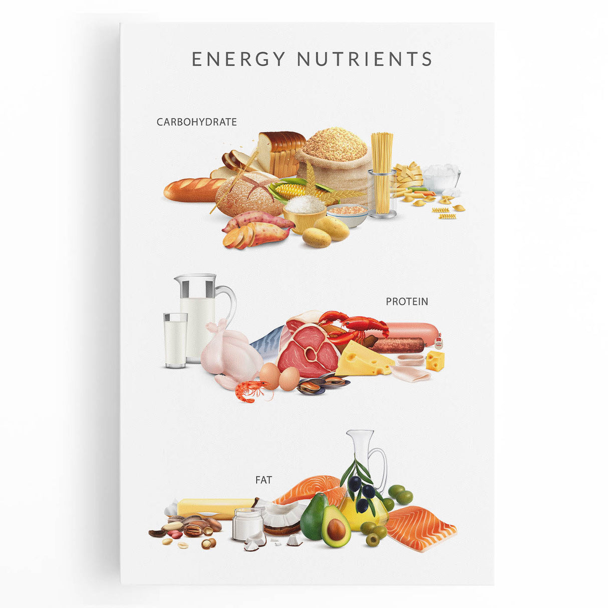 Energy Nutrients Educational Wall Art - Kids' Learning Poster