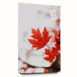 Large abstract wall art in vibrant orange and red tones on acrylic glass, ideal for bedroom or dining room decor.