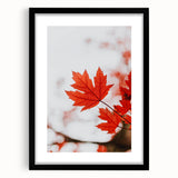 Extra large abstract art print featuring textured, colorful autumnal hues on a black framed canvas.