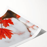 Extra large wall art featuring line art flowers in muted autumn colors on a rolled canvas.