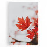 Large black and white abstract canvas depicting a fall scene, ideal for kitchen wall art.