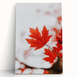 Large black and white stretched canvas of a tree in autumn, ideal for kitchen wall art or bedroom ambiance.