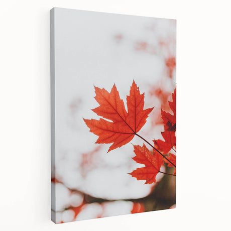 Large art depicting a fall scene with orange and brown tones on a stretched canvas, suitable for kitchen wall art.