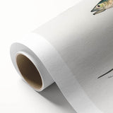 Romantic Era Art: Fish Illustrations by Charles Dessalines d’Orbigny