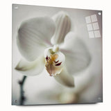 Abstract floral wall art displayed in a side view on acrylic glass, showcasing vibrant colors and intricate designs, secured with decorative pins for a modern aesthetic. Perfect for enhancing contemporary home decor.