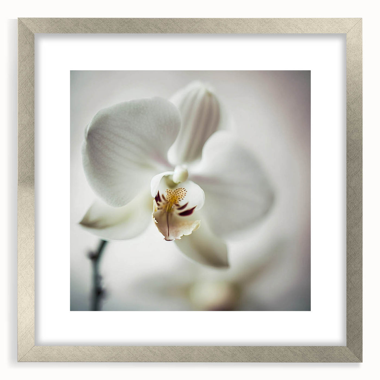 Abstract floral wall art framed in silver, showcasing vibrant colors and intricate designs, ideal for modern home decor and enhancing interior aesthetics.