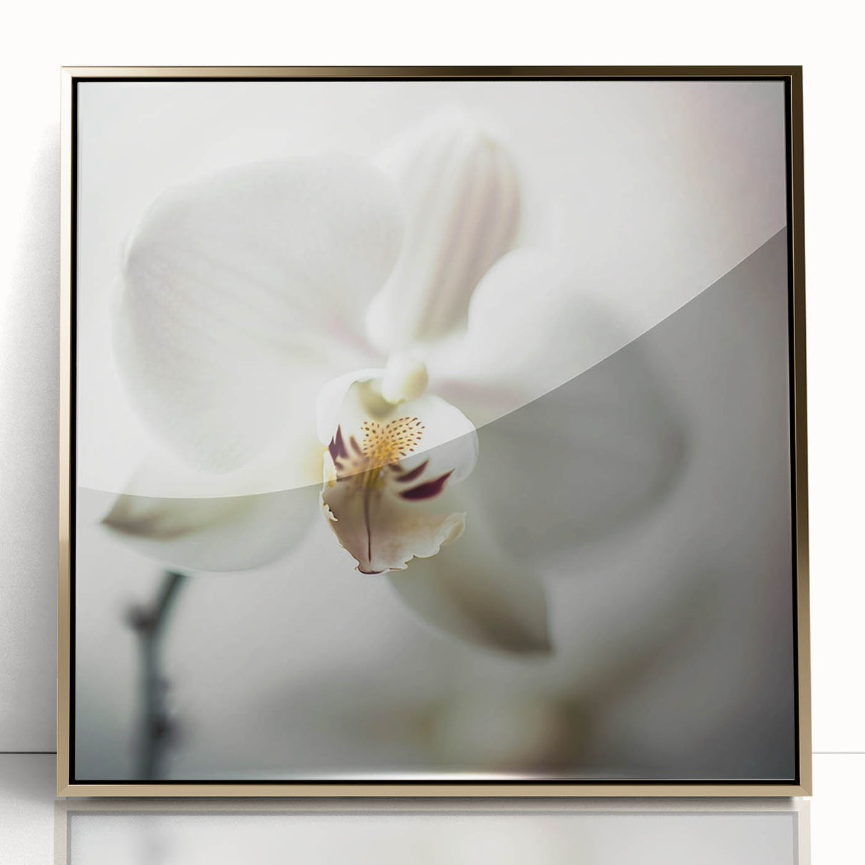 Framed abstract floral wall art with gold accents, showcasing vibrant colors and intricate designs, perfect for modern home decor or office settings.
