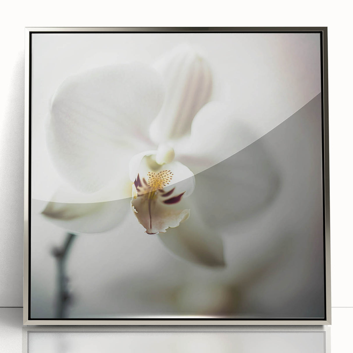 Framed abstract floral wall art in silver acrylic, showcasing vibrant colors and intricate designs, perfect for modern home decor or office spaces.
