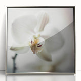 Framed abstract floral wall art in silver acrylic, showcasing vibrant colors and intricate designs, perfect for modern home decor or office spaces.