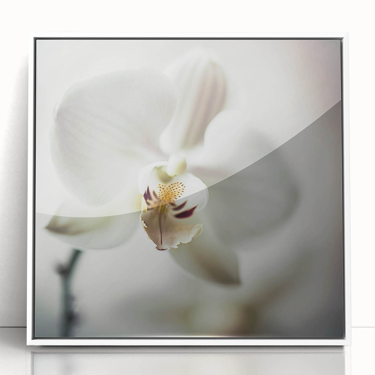 Framed wall art featuring an abstract floral design in vibrant colors, set against a white background, perfect for modern home decor.