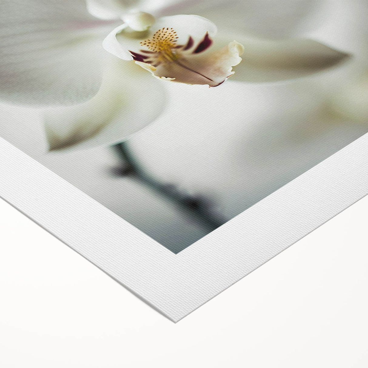 Vibrant abstract floral wall art on rolled canvas featuring bold colors and intricate patterns, perfect for modern home decor, presented in a protective cardboard tube.