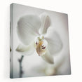 Abstract floral wall art on stretched canvas showcasing vibrant colors and intricate designs, perfect for modern home decor. Ideal for enhancing living spaces with a touch of elegance.