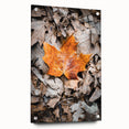 Large abstract wall art on acrylic glass depicting swirling autumn hues, ideal for dining room or bedroom decor.
