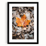 Abstract art print featuring textured, colorful autumnal hues on a large canvas, ideal for living room decor.