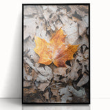 Large abstract wall art featuring fall-themed colors on a framed acrylic, ideal for modern living room decor.