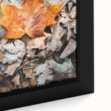 Extra large framed canvas featuring textured black wall art with vibrant autumn hues, ideal for living room decor.
