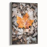 Framed canvas depicting a vintage landscape art painting with colorful autumn trees and a black background.