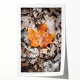 Extra large rolled print of autumnal floral art in warm orange and red tones, ideal for dining room wall decor.