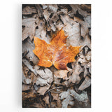 Large black and white stretched canvas depicting an abstract fall scene, suitable for kitchen art.