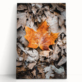 Large black and white stretched canvas featuring a minimalist autumn tree, ideal for kitchen wall art or bedroom decor.