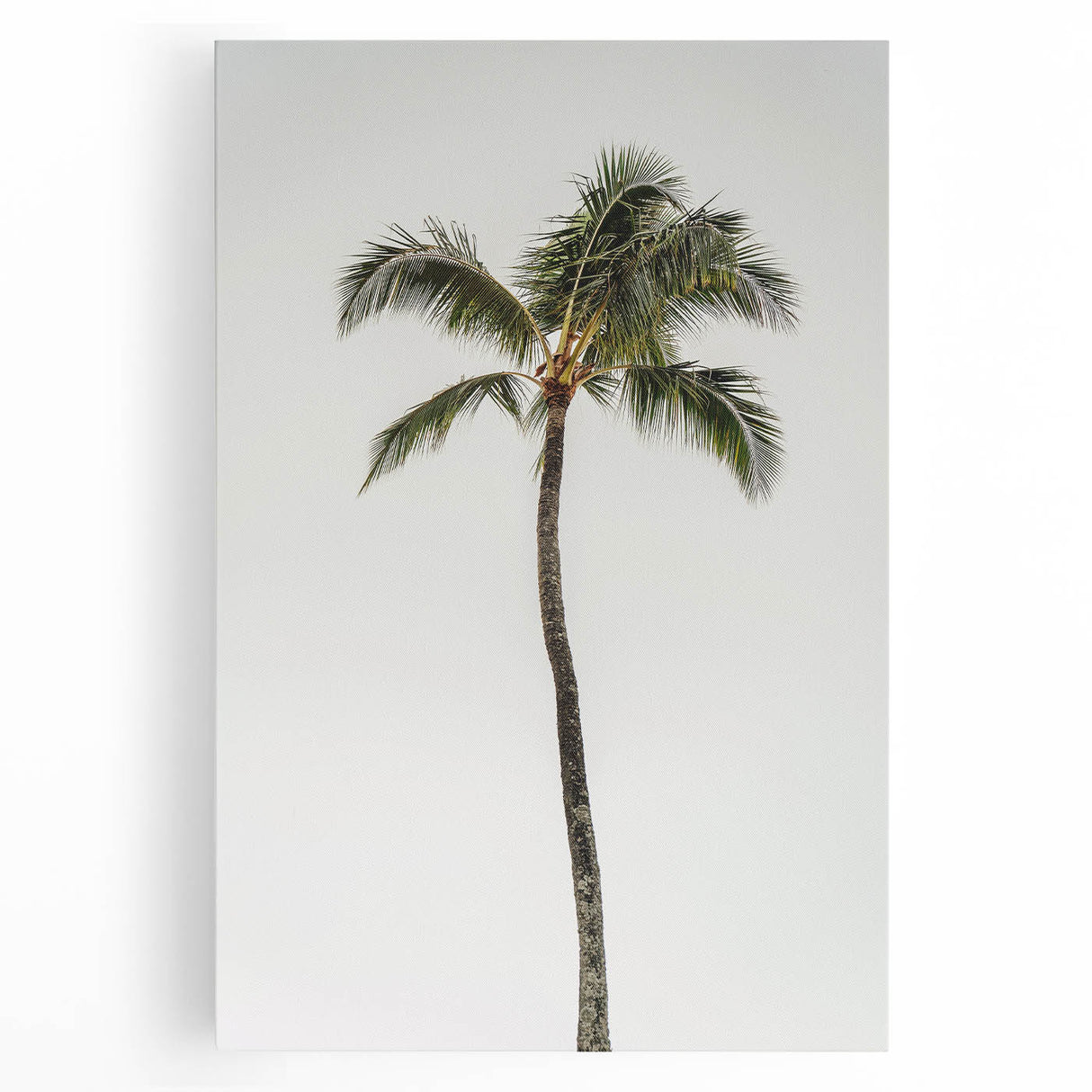 Black and white large art canvas featuring a minimalist summer tree design, ideal for kitchen wall art.