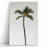 Large black and white stretched canvas featuring a minimalist summer tree design, ideal for kitchen wall art.