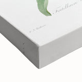 Neoclassical Crown Imperial Fritillary Print - Botanical Art by Redouté