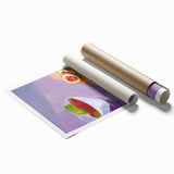 Extra large rolled print featuring an assortment of vibrant, colorful fruits.