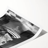 Bathroom Wall Decor - Capybara Reading Newspaper