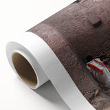 Art deco poster depicting Ethiopian scenery on rolled canvas, ideal for nursery wall art or dining room decor.