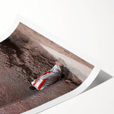 Extra large rolled print featuring a line art floral design in muted earth tones, ideal for large living room wall art.