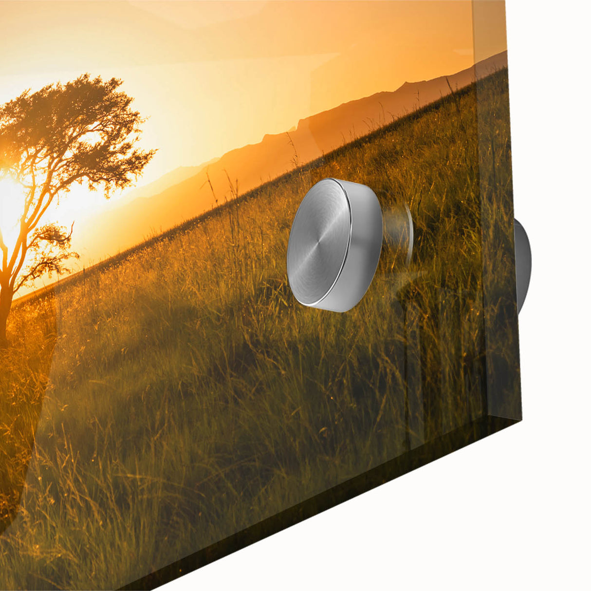 Large abstract wall art depicting a South African scenery in earthy tones, acrylic glass, suited for dining room ambiance.