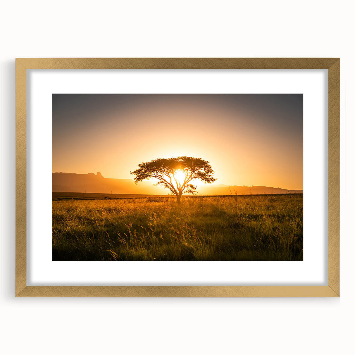 Extra large abstract art print depicting a textured African landscape in earth tones, framed in gold.