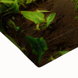 Black and white photograph of an Indonesian landscape on large stretched canvas, suitable for bedroom wall decor.