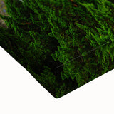 Large art of a black and white Taiwanese landscape painting on stretched canvas, ideal for bedroom wall decor.