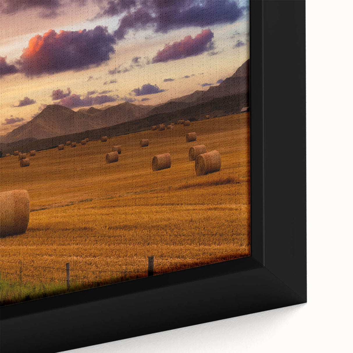 Extra large framed canvas featuring a textured depiction of Alberta's scenery in black with colorful art accents.
