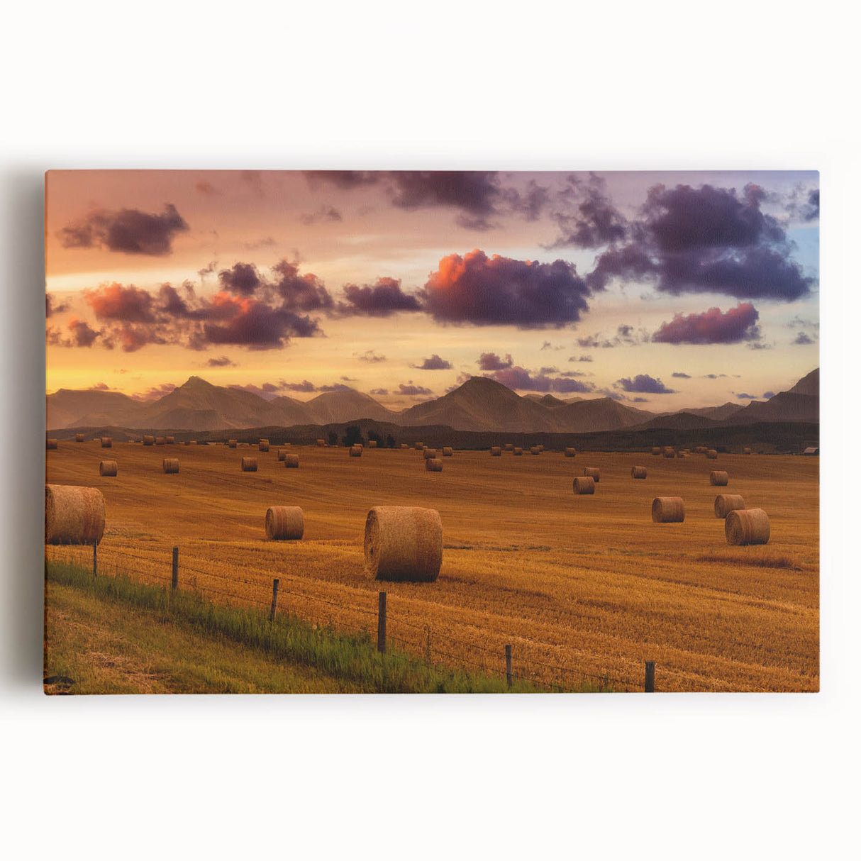 Black and white photo of Alberta scenery on large stretched canvas, suitable for kitchen art.