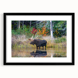 Extra large abstract art print of a colorful, textured Ontario scenery on a framed black mat, ideal for living room decor.